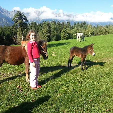 Casa de hóspedes Nattererboden 3*