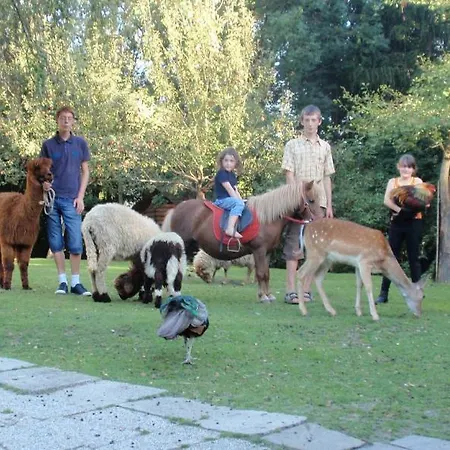 Nattererboden Гостевой дом 3*