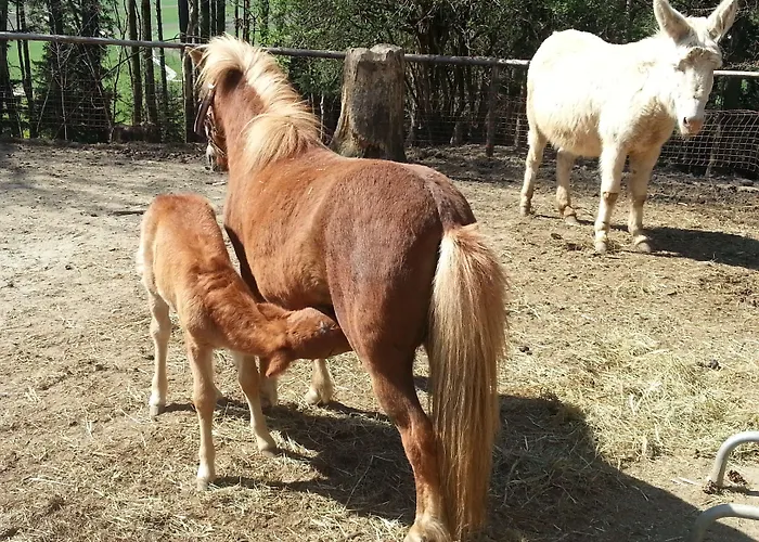 Nattererboden Gasthof