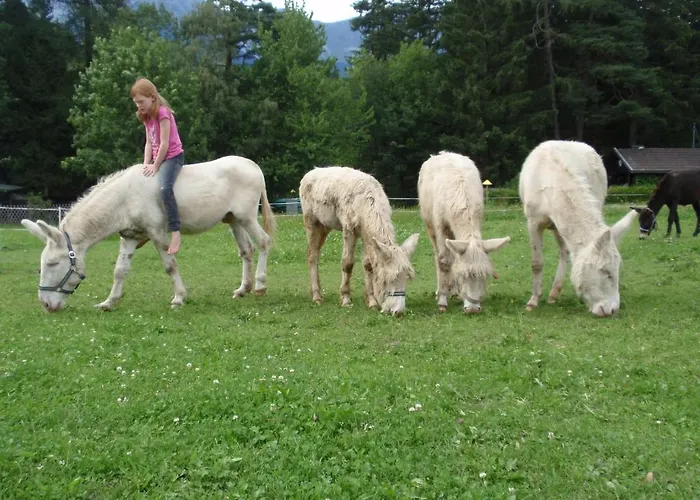 Gasthof Nattererboden