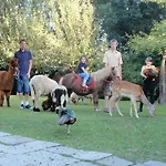 Nattererboden Pensión 4*