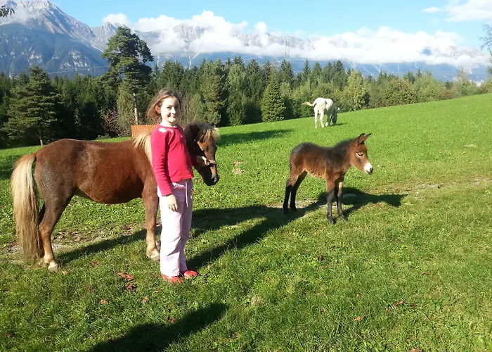 Affittacamere Nattererboden 3*